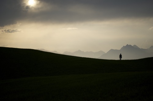 lensblr-network:“Sommerabend” / “summer eve” / Merano / South...