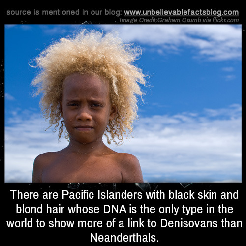 unbelievable-facts:There are Pacific Islanders with black skin...