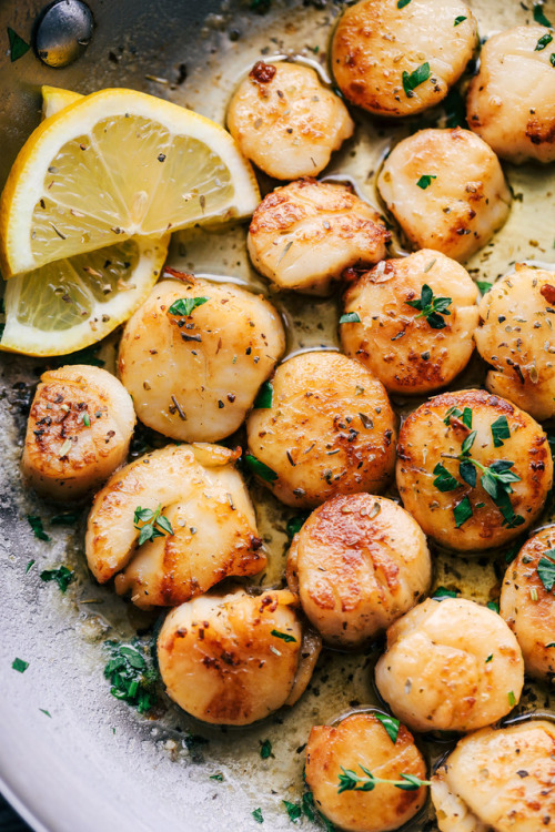 izzysfood:Garlic Butter Herb Scallops