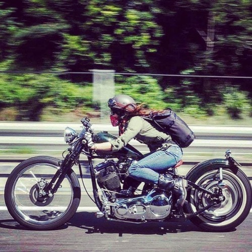 bobber1340:#harleydavidson #evo #blockhead #japanstyle...