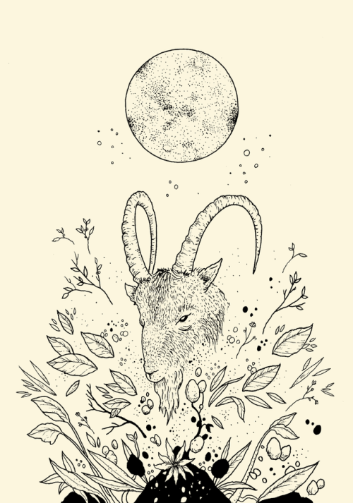 thestrangeforest:Moon Ram