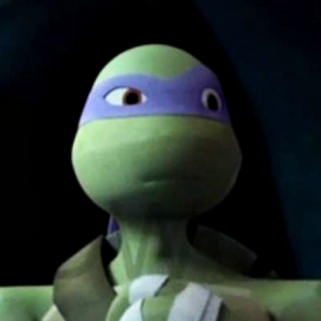 ASK DONATELLO