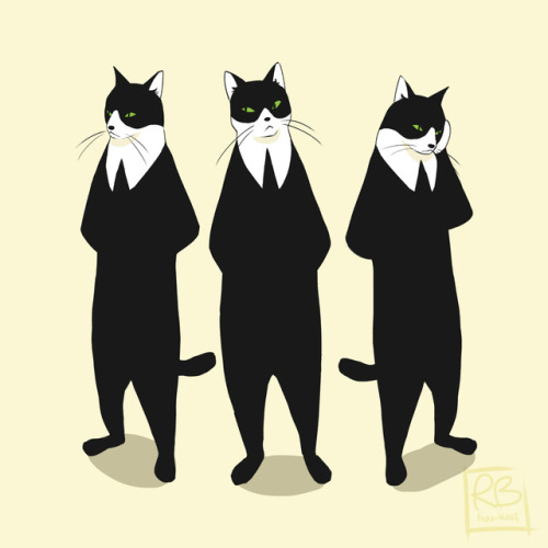 drawing of tuxedo cat | Tumblr