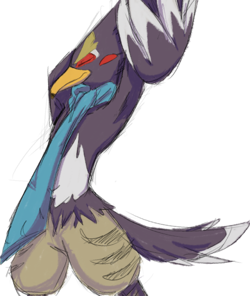 whyarebirdshot:Listen i love this jackass bird okay