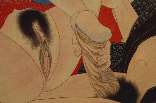 my-secret-eye:Shunga