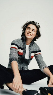 Wallpaper Tumblr Wallpaper Timothee Chalamet