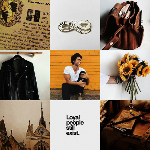 sonjasullivan:the southside serpents + hogwarts housesbased...