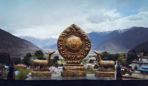 china scenery linzhi tibet