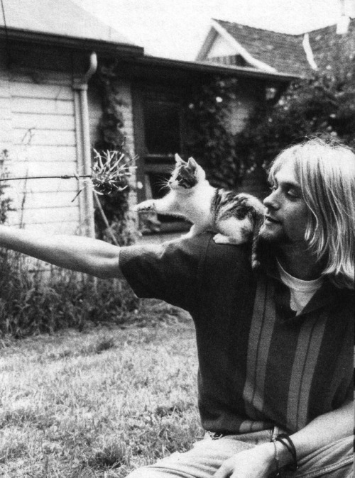 sarcasm-factory:Kurt Cobain and kittens.