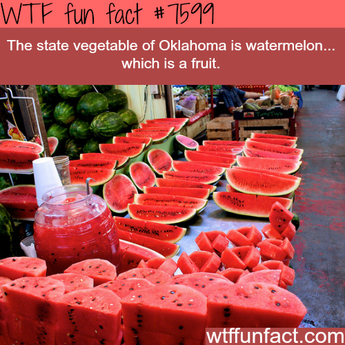 wtf-fun-factss:Oklahoma’s state’s vegetable 