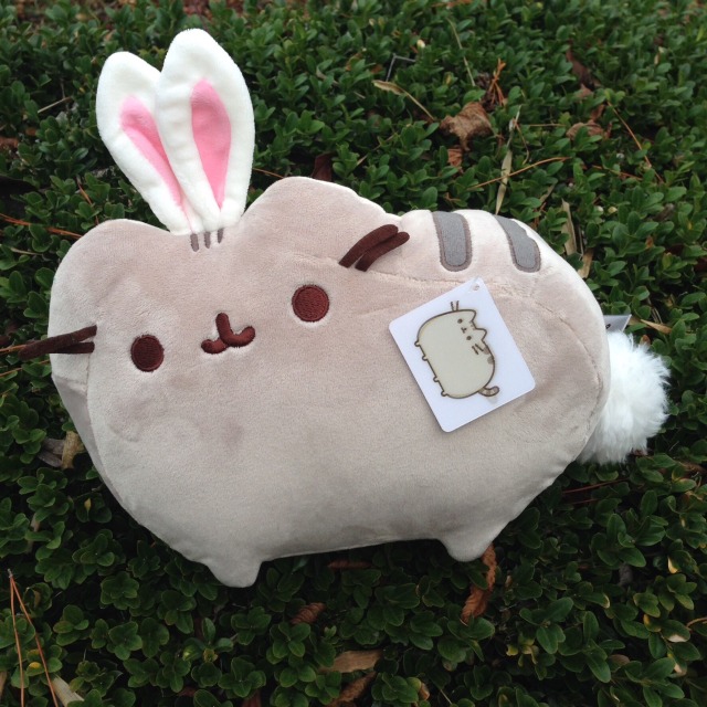 dino pusheen plush