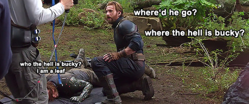 mishasminions:WHERE THE HELL IS BUCKY