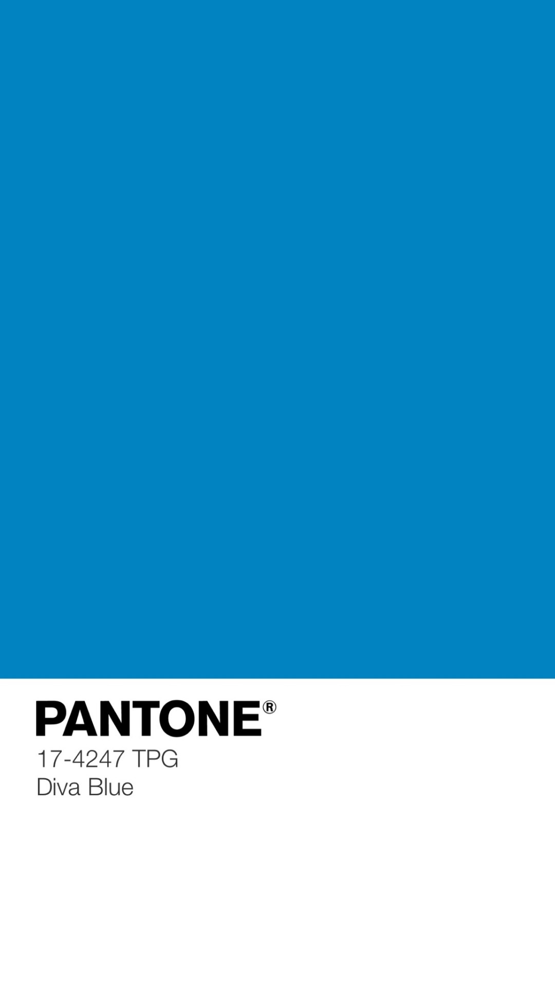 pantone layouts | Tumblr