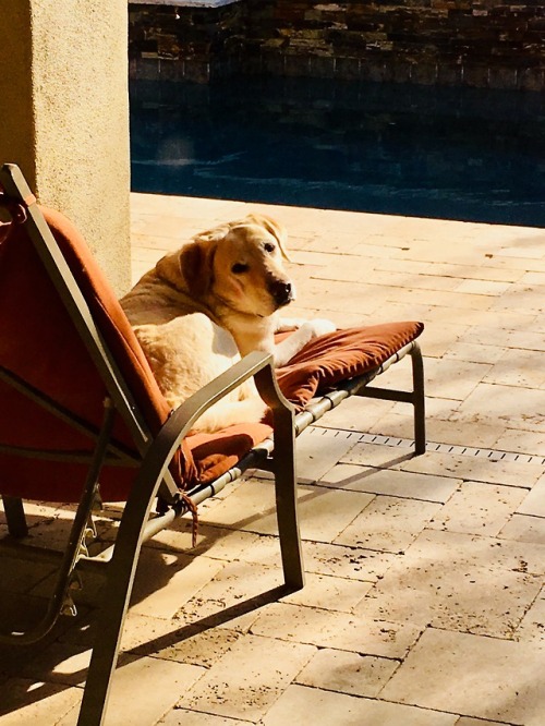 He’s going to miss soaking in the rays. BUT IT’S ALMOST FALL!