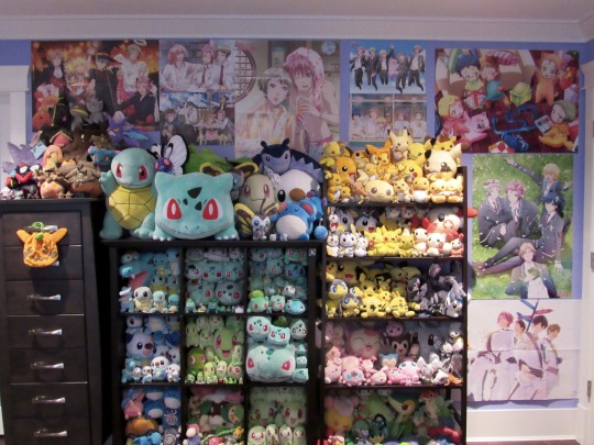 pokemon plush collection