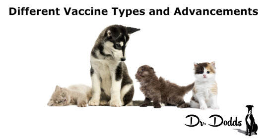 Different Vaccine Types and Advancements