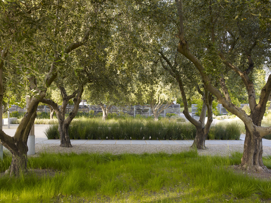 Remash Medlock Ames Tasting Room Alexander Valley Bar