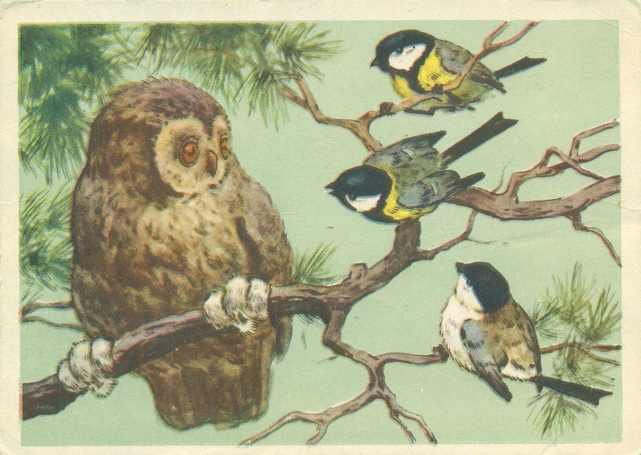 Postcard by R. Frenz (1959)