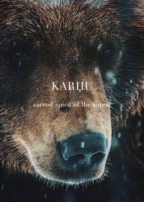 saintsandvirgins:K A R H U ;  the bearthe most sacred animal...