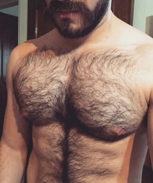 Hirsute Appreciation