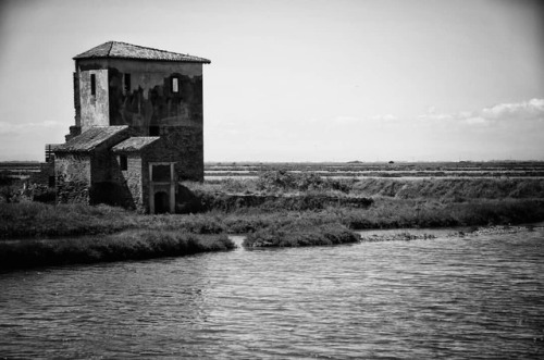 #pentax #photography #k5 #saline #comacchio (presso Comacchio)