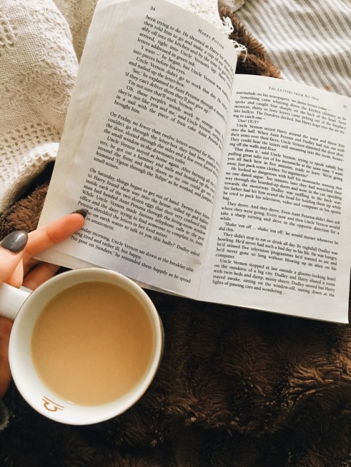 slncewerealone:reading harry potter + chai tea + and kitten...