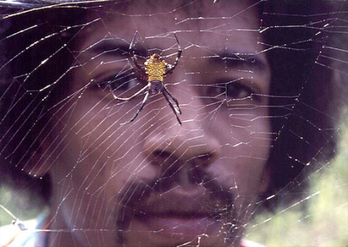 babeimgonnaleaveu: Jimi Hendrix photographed by Ron Raffaelli...