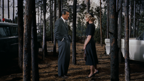 mydarktv:North by Northwest // Alfred Hitchcock // 1959