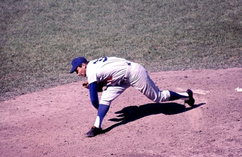 randombaseball:Sandy Koufax.