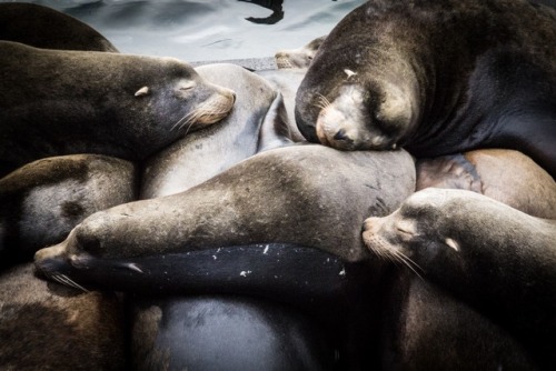 Slumber Party - New Year’s Eve 2016 - Newport Oregon