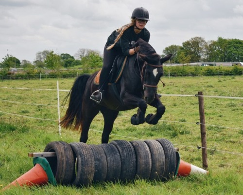 silversnaffles:Tara jumped the tires for the first time today!