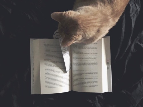 freckles-and-books:Bookmark eater