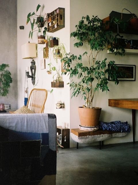 i-love-the-off-the-floor-plant-stand-great-to-let