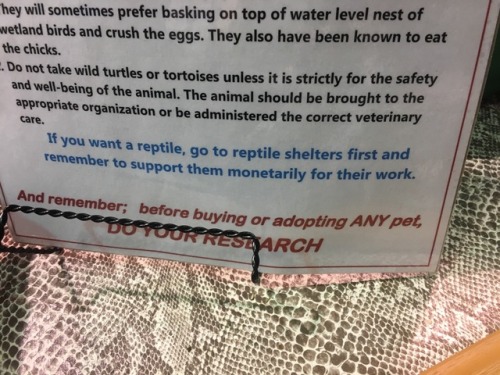 sunfish-exotics:kaijutegu:I was really into the signs all...