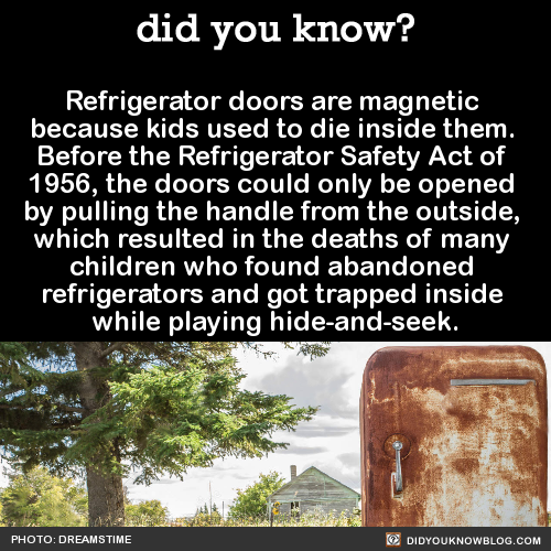 did-you-kno:Refrigerator doors are magnetic because kids used...