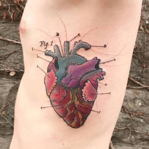 By Dino Nemec, done at Lone Wolf Private Tattooing Studio,... dinonemec;anatomy;scientific illustration;heart;big;science;rib;love;facebook;twitter;anatomical heart;illustrative