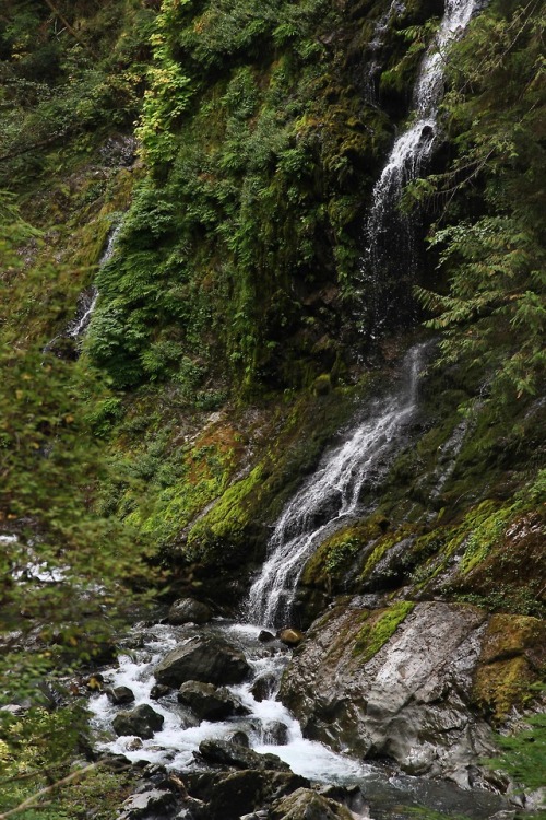 burningmine:Boulder River Trail, September 2018