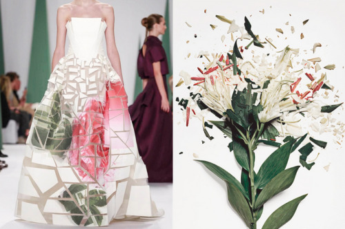 bianca luini wisf whereiseefashion where i see fashion fashion blog feature ellie featured blog