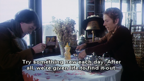 somvei:harold and maude (1971)