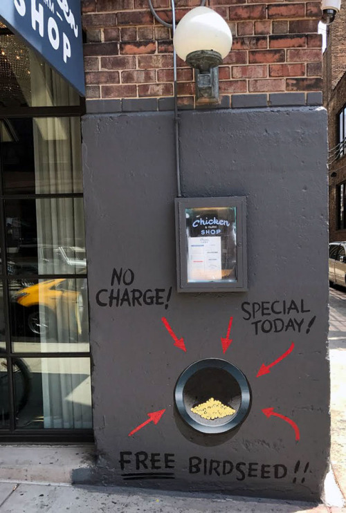 sixpenceee:‘Free Bird Seed’ Graffiti Leads To Unexpected...