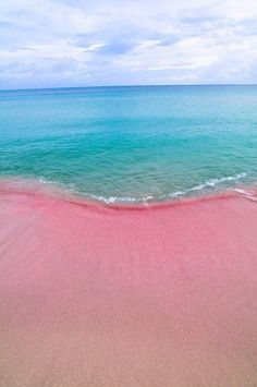 sixpenceee:Pink Beaches, Bermuda: The pink sand is the result of...