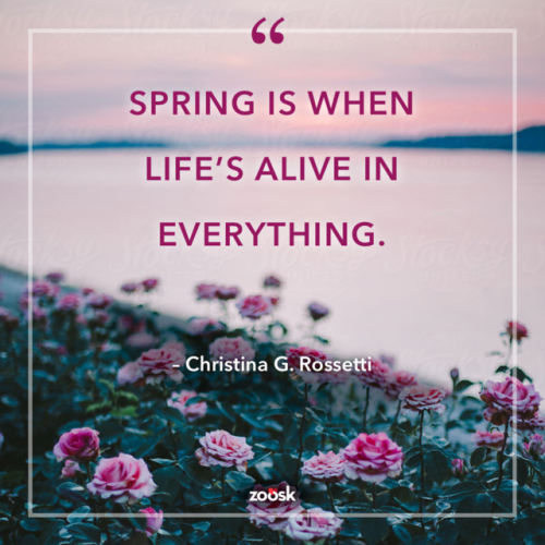 spring quotes on Tumblr