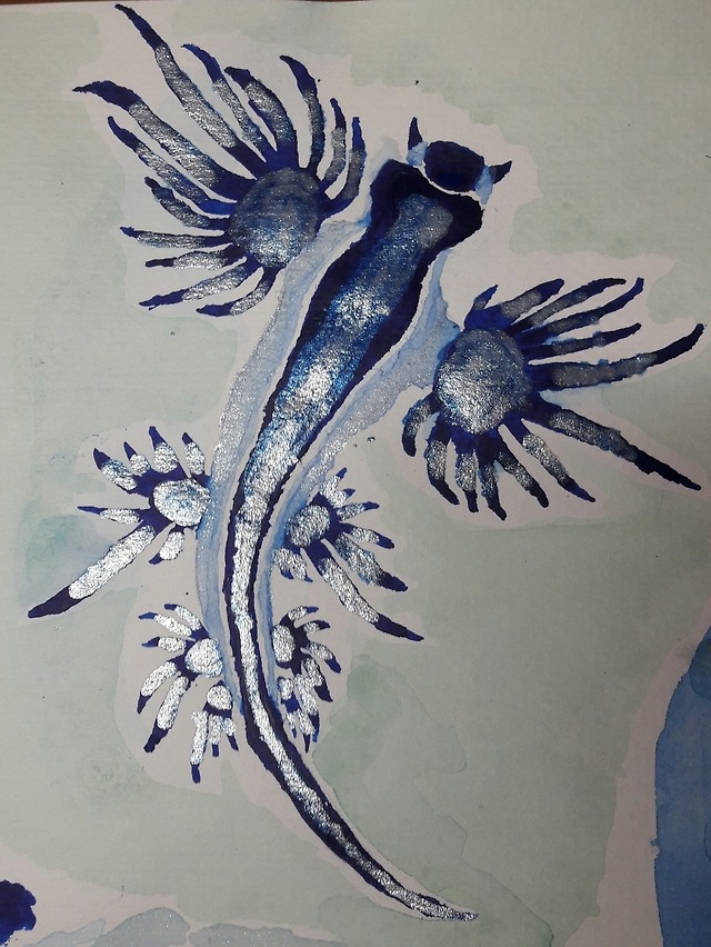 Ant Images And Art — A Study Of A Glaucus Atlanticus (one Of Its Common