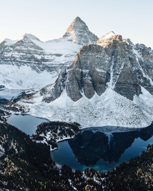 tannerwendellstewart:Sunrise. Mt Assiniboine. BC. (at Mount...