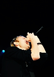 tumblr photo