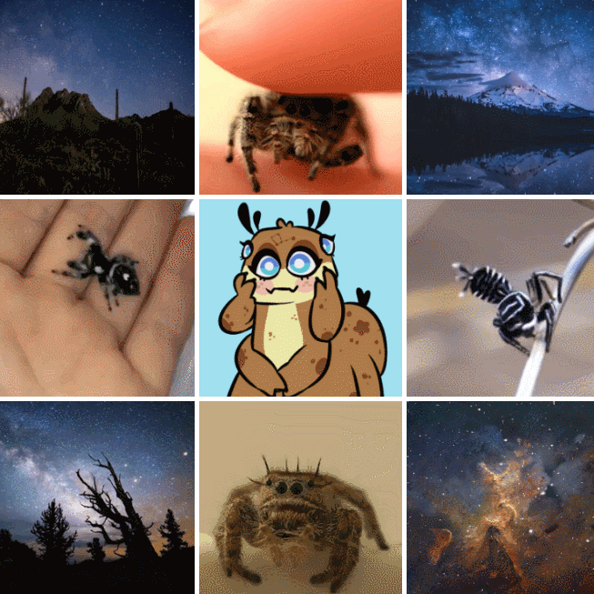 tumblr_pshvl09F1e1y4y049o1_1280.gif