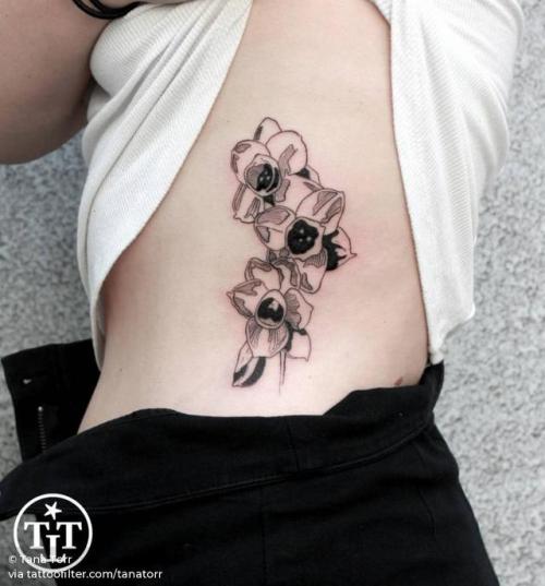 By Tana Torr, done at LIGA Tattoo Collective, Berlin.... flower;line art;waist;facebook;nature;blackwork;twitter;tanatorr;medium size;narcissus flower