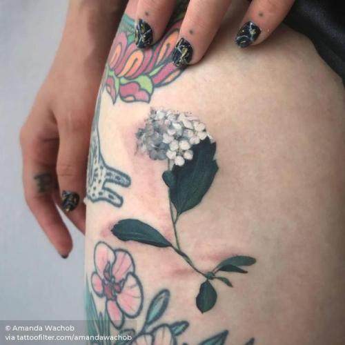 By Amanda Wachob, done at Amanda Wachob Tattoo Studio, Brooklyn.... flower;small;reeve s spiraea;watercolor;tiny;thigh;ifttt;little;nature;amandawachob;medium size
