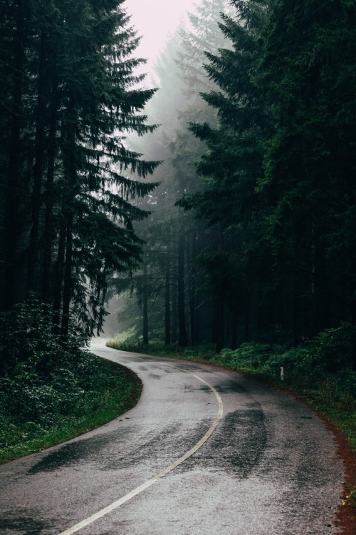 foggy | Tumblr