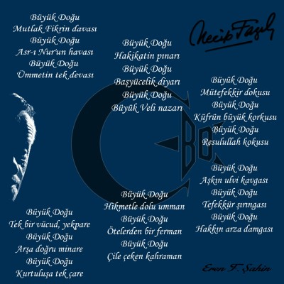 Akvaryum neden suyu yağlar ve onunla nasıl başa çıkar 79